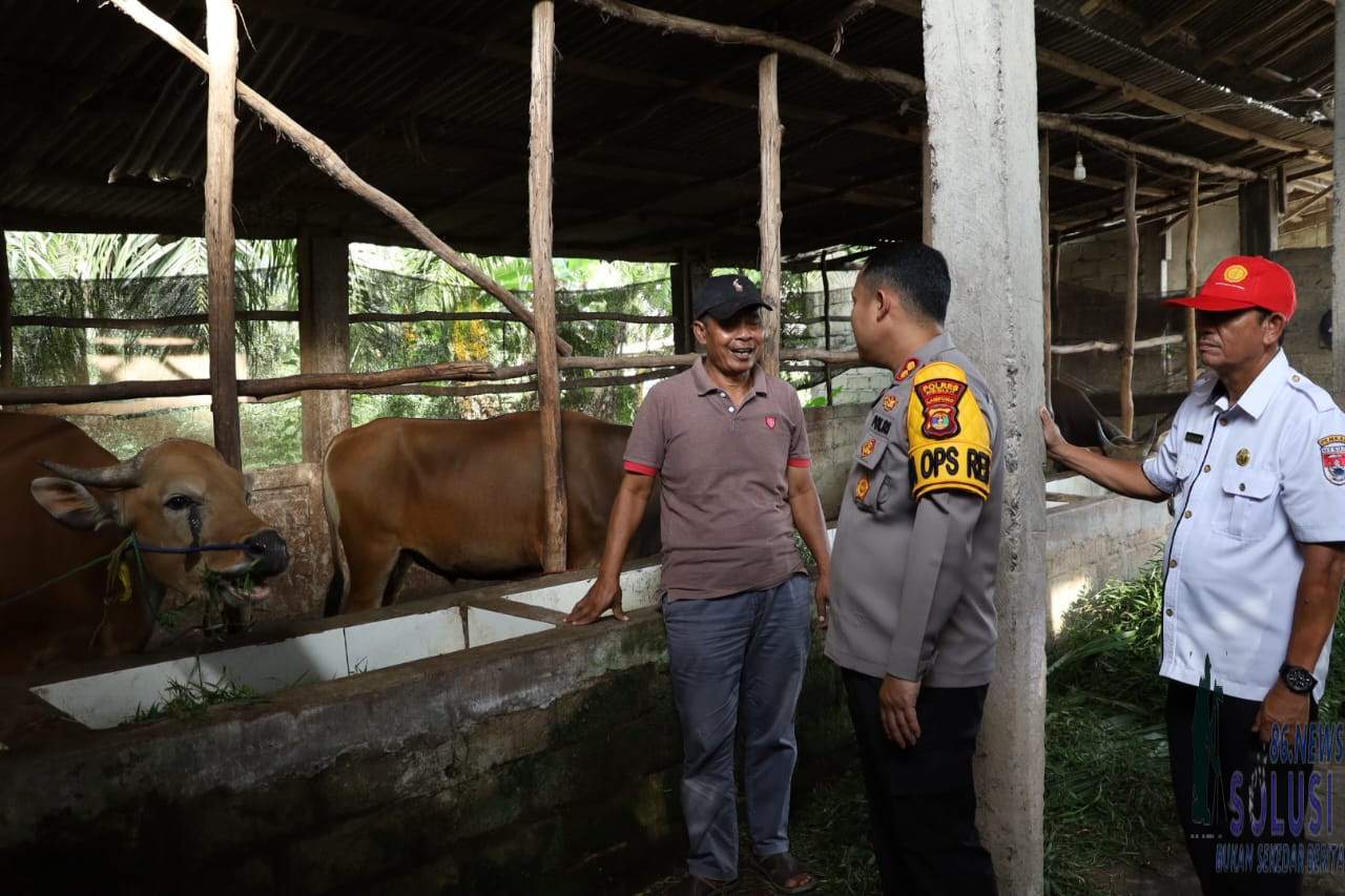 Jelang Hari Raya Idhul Adha 1445 H, Kapolres Mesuji Melaksanakan Peninjauan Kesiapan Hewan Kurban